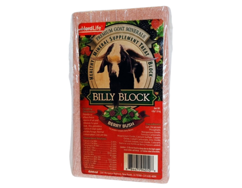 Billy Block