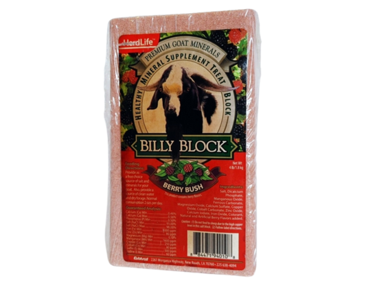 Billy Block