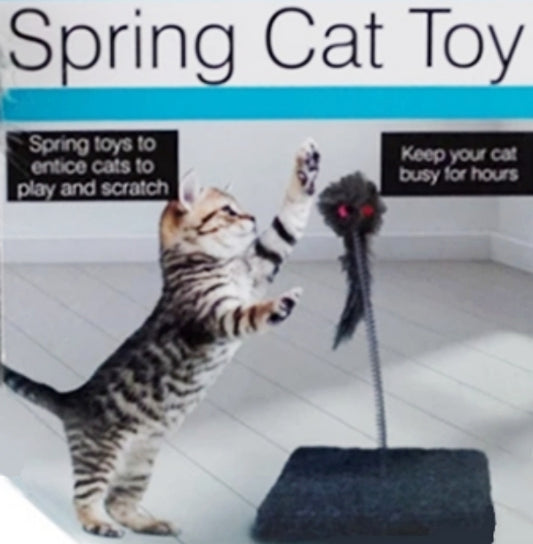 Spring Cat Toy